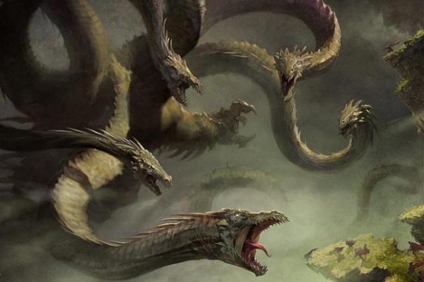 Где купить котиков - полное руководство