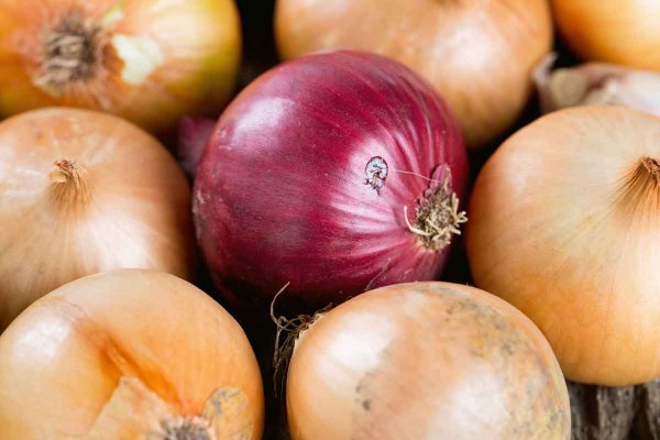 Надежный доступ к kraken зеркало