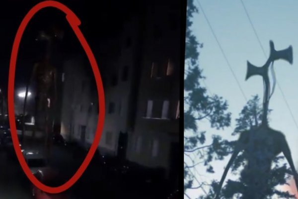 Качественный доступ krab9 cc